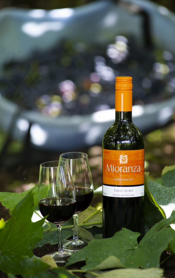 Você sabe qual a diferença entre vinho de mesa e vinho fino? 